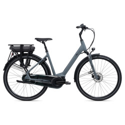 Giant Entour E+ elektrische fiets